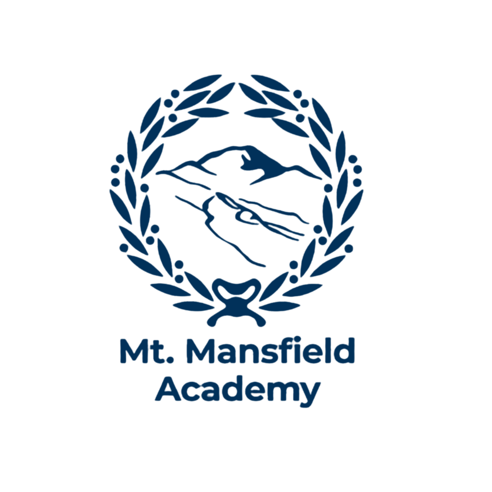 MMA Academy Program