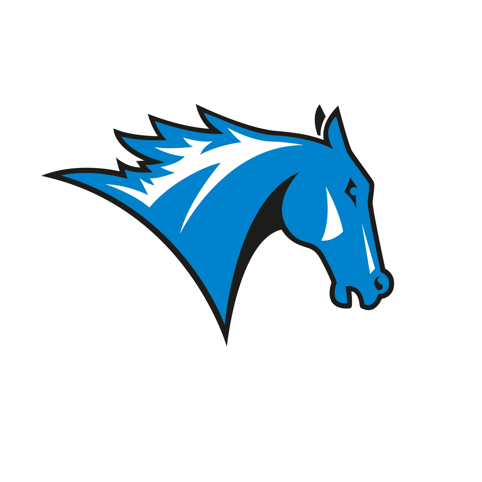 Colby Sawyer College Custom SYNC Performance