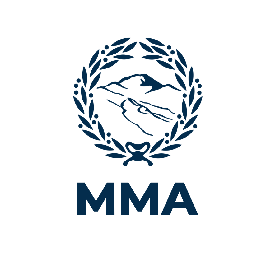 MMA Academy Program