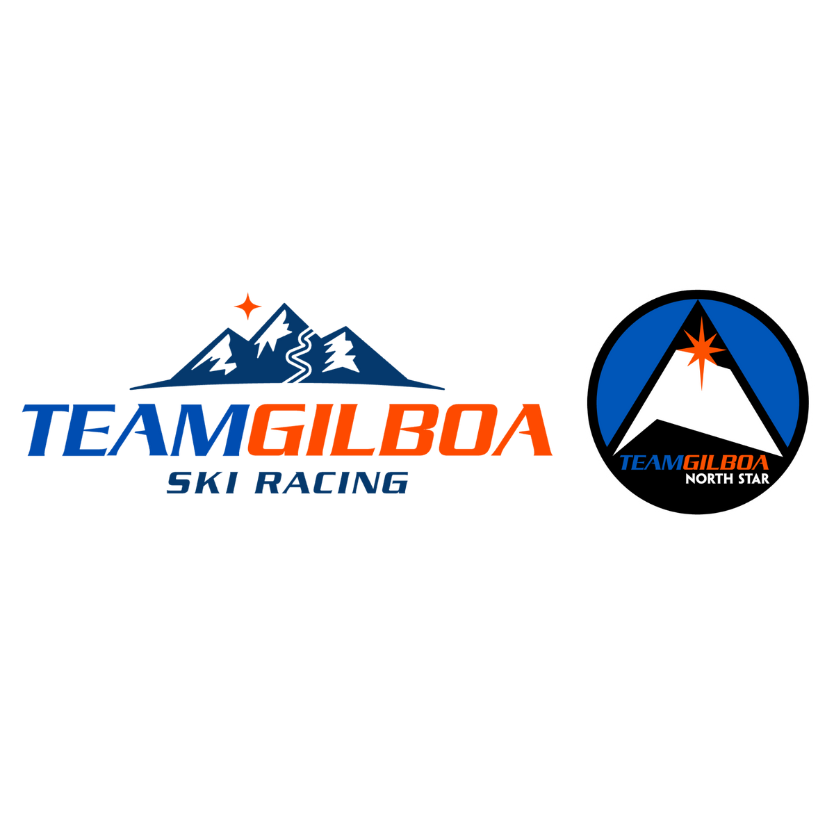 Team Gilboa
